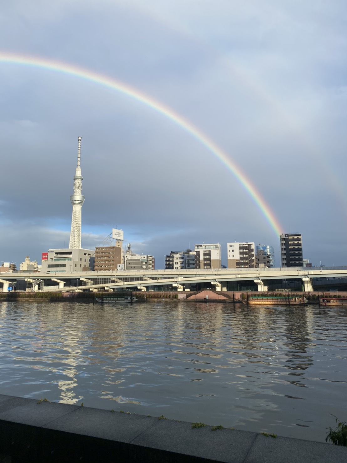 雨上がりに見えた綺麗な虹 フリーランスウェディングプランナー 加藤渚 Nagisa Kato
